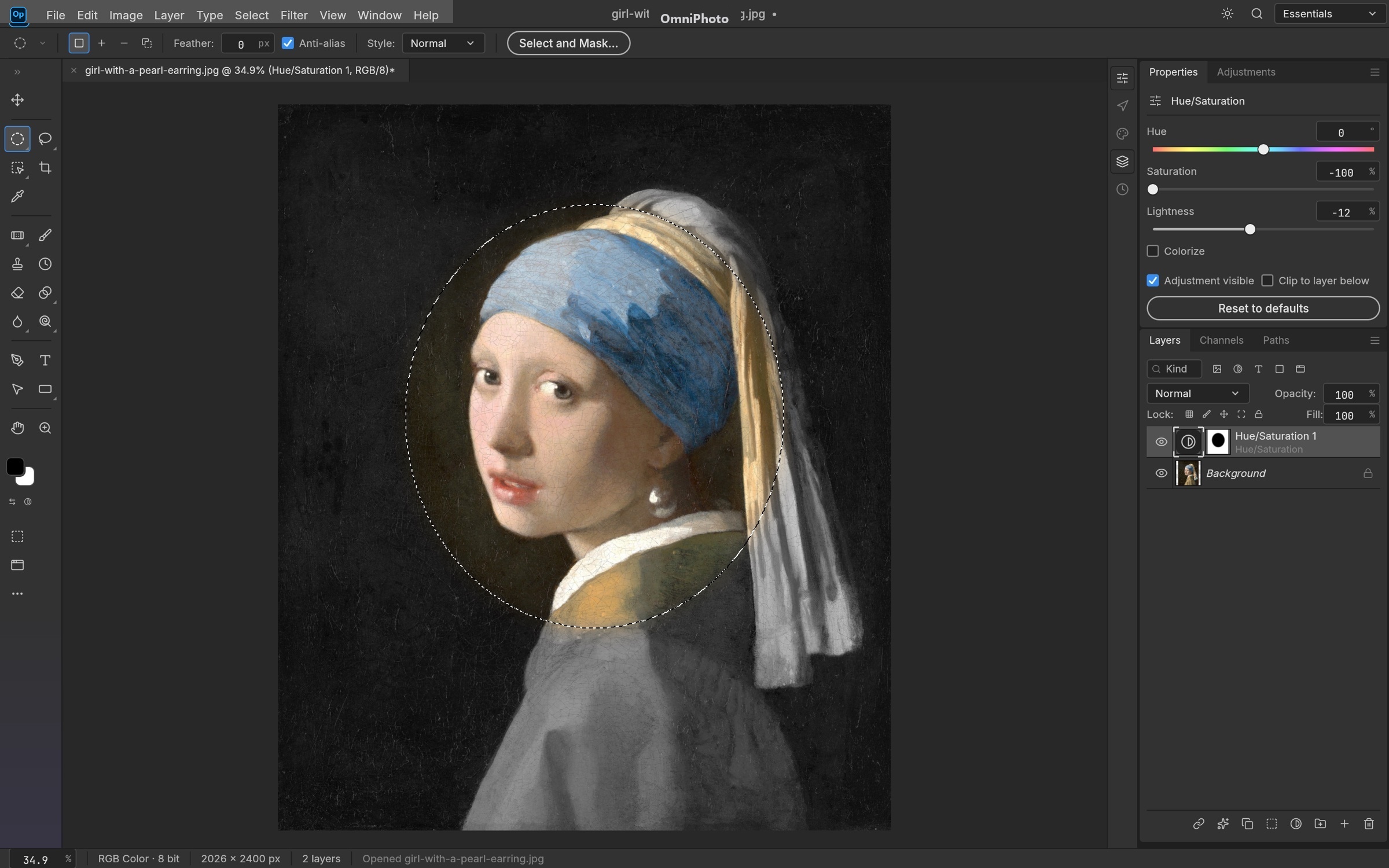 OmniPhoto WebAssembly Studio: Pixel-Perfect Masking & Selections workflow applied to Girl with a Pearl Earring — Johannes Vermeer, c. 1665
